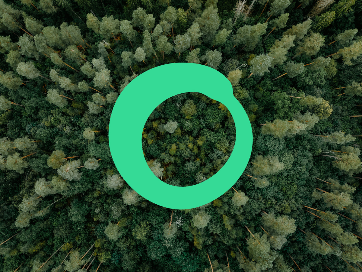 Friends of the Earth project thumbnail